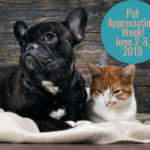Pet-Appreciation-Week